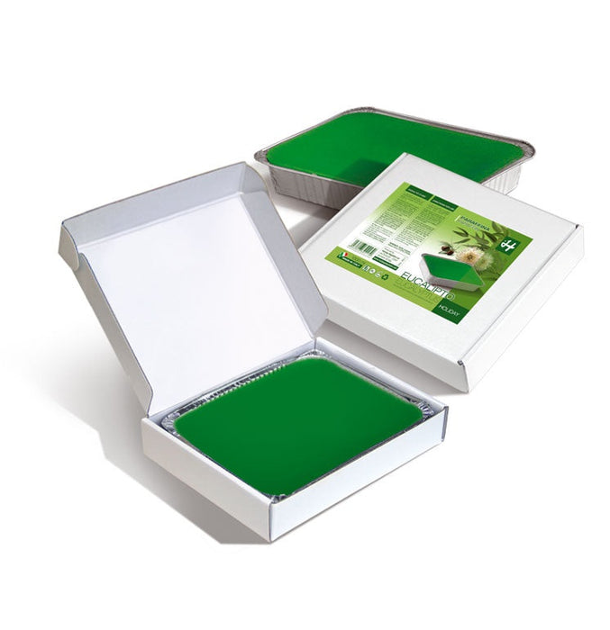 Holiday - Eucalyptus Paraffin Block 1kg