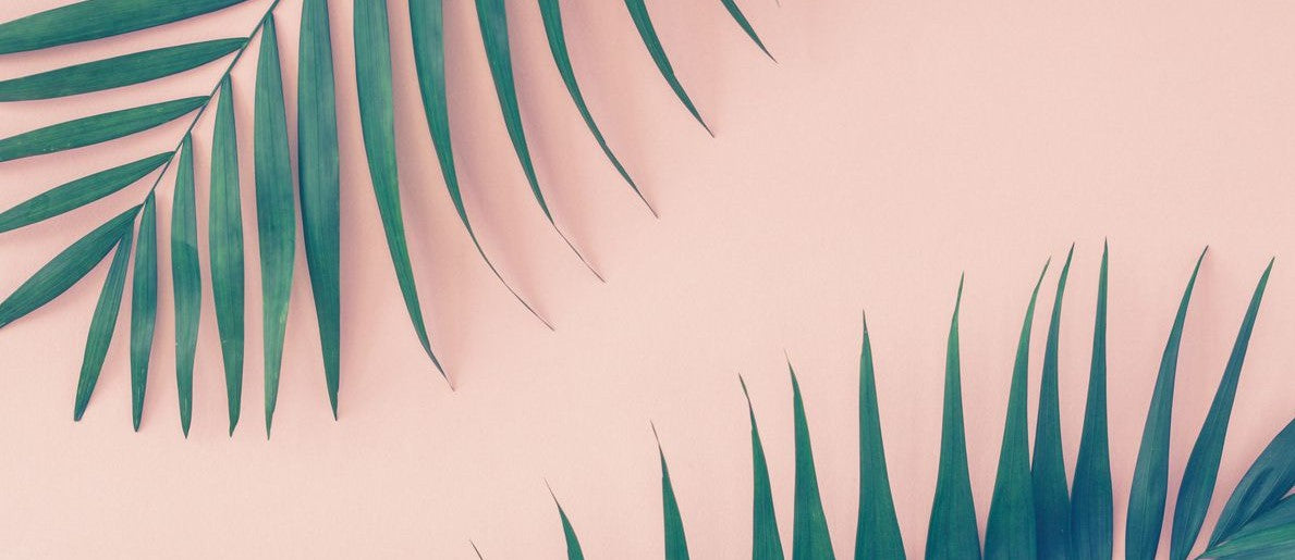 End of Year Beauty Deals