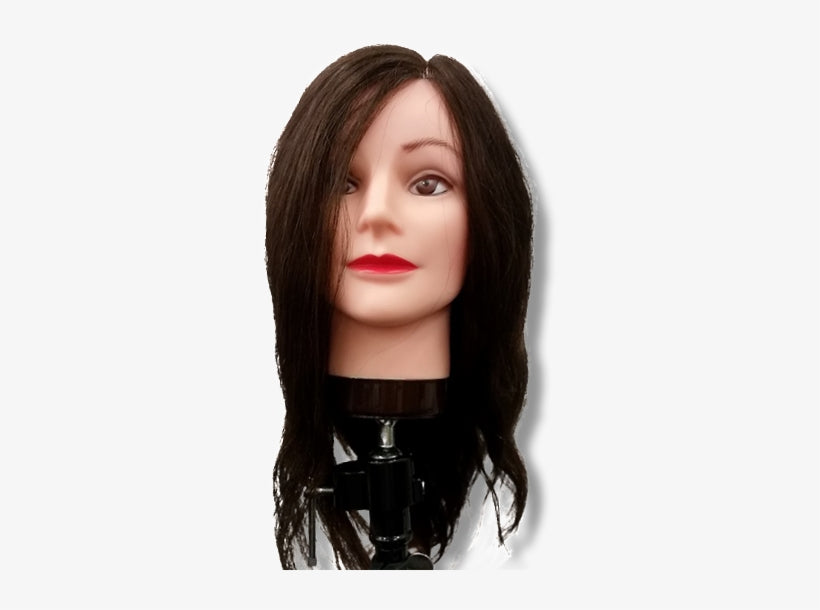 Anabel Mannequin  Extra Long Human Hair / Brown