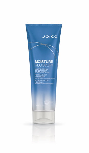Joico - Moisture Recovery Conditioner 250ml